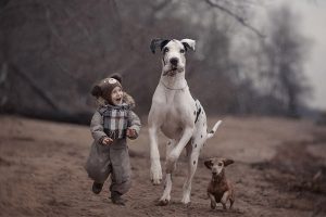 کودکان و سگها